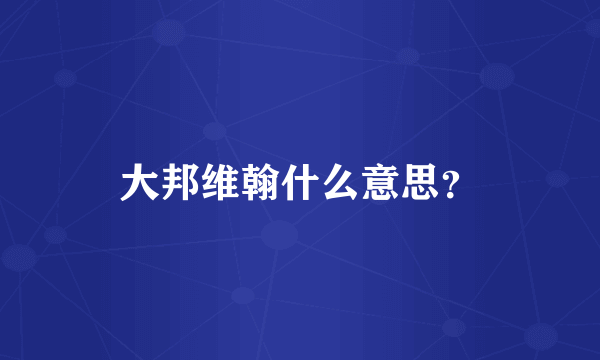 大邦维翰什么意思？