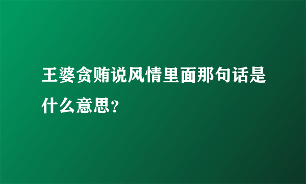 王婆贪贿说风情里面那句话是什么意思？