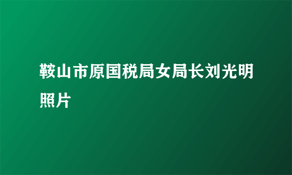 鞍山市原国税局女局长刘光明照片