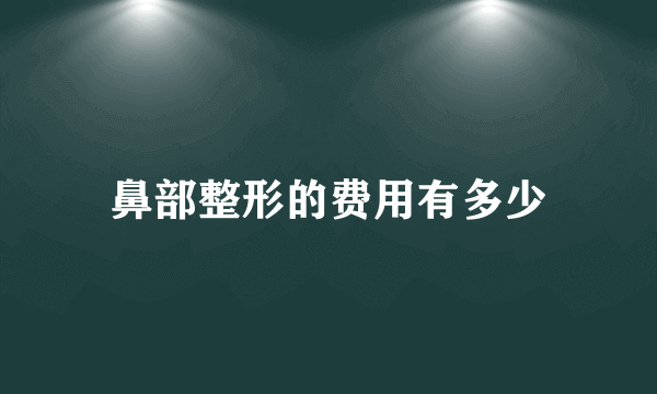 鼻部整形的费用有多少