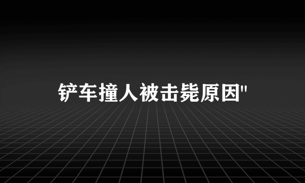 铲车撞人被击毙原因