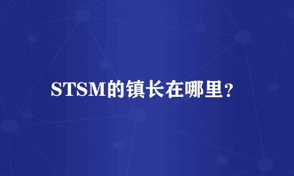 STSM的镇长在哪里？