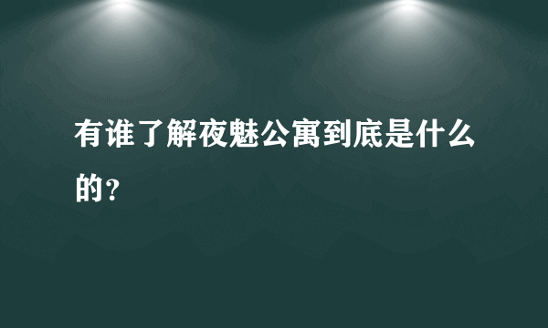 有谁了解夜魅公寓到底是什么的？