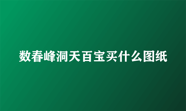 数春峰洞天百宝买什么图纸