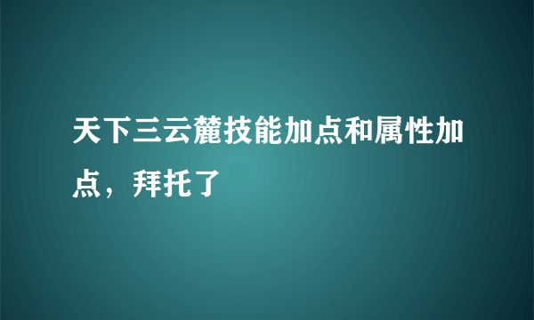 天下三云麓技能加点和属性加点，拜托了