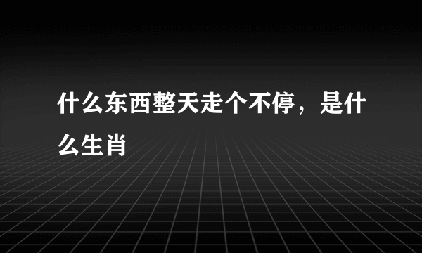 什么东西整天走个不停，是什么生肖