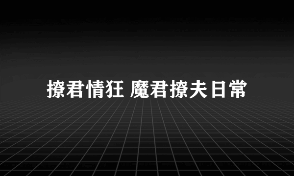 撩君情狂 魔君撩夫日常