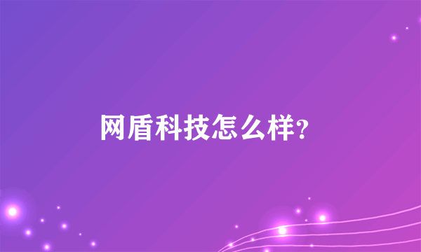 网盾科技怎么样？