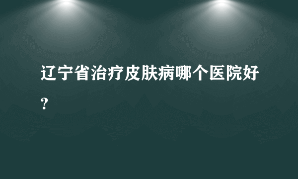 辽宁省治疗皮肤病哪个医院好？