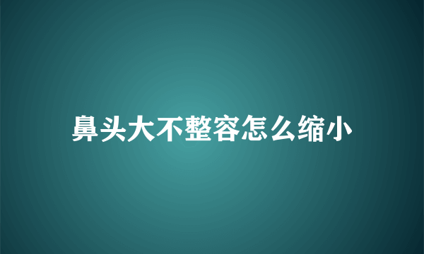 鼻头大不整容怎么缩小