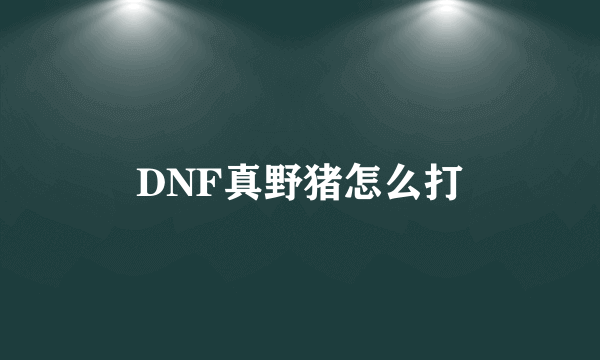 DNF真野猪怎么打