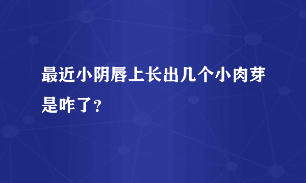 最近小阴唇上长出几个小肉芽是咋了？