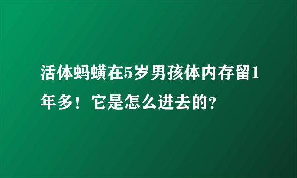 活体蚂蟥在5岁男孩体内存留1年多！它是怎么进去的？