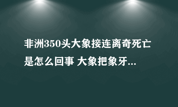 非洲350头大象接连离奇死亡是怎么回事 大象把象牙拿了能活吗