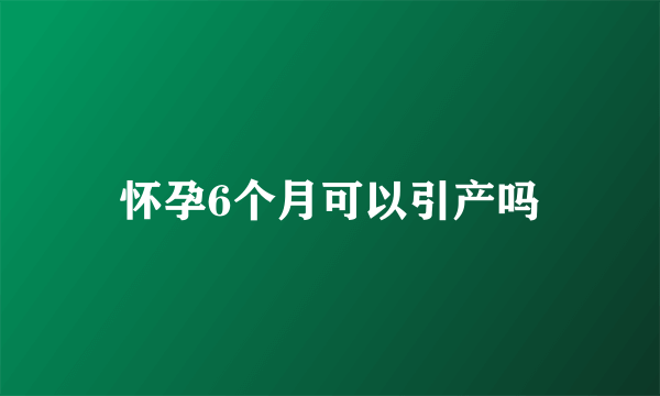 怀孕6个月可以引产吗