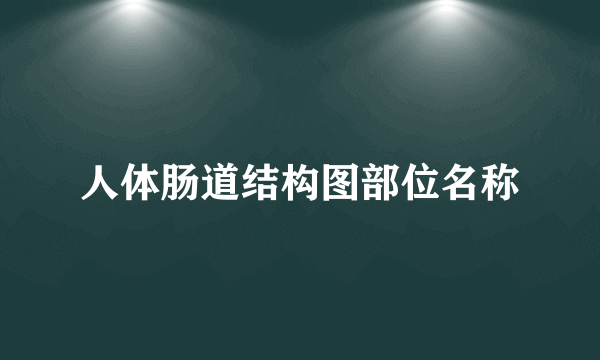 人体肠道结构图部位名称