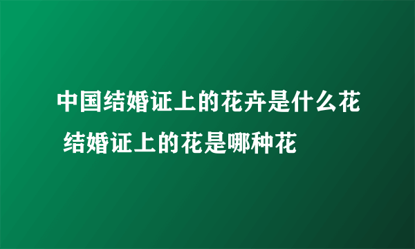 中国结婚证上的花卉是什么花 结婚证上的花是哪种花