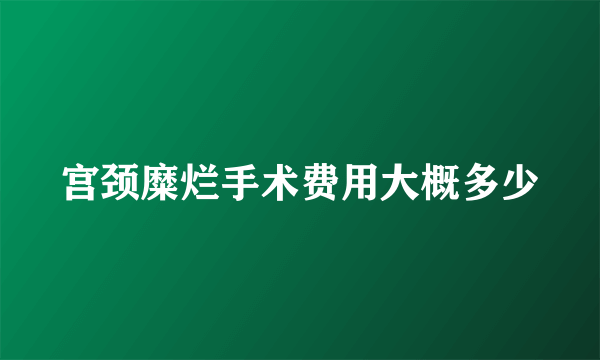 宫颈糜烂手术费用大概多少