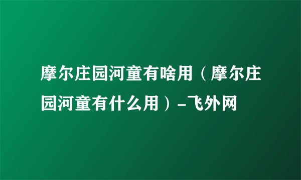 摩尔庄园河童有啥用（摩尔庄园河童有什么用）-飞外网