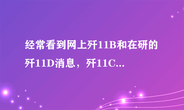 经常看到网上歼11B和在研的歼11D消息，歼11C哪去了？