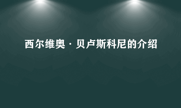 西尔维奥·贝卢斯科尼的介绍