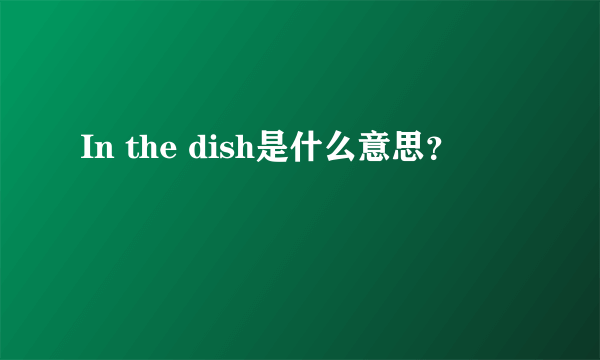 In the dish是什么意思？