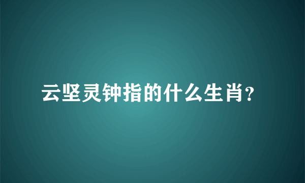 云坚灵钟指的什么生肖？