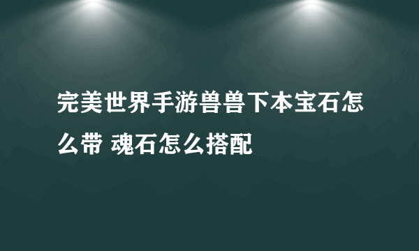 完美世界手游兽兽下本宝石怎么带 魂石怎么搭配