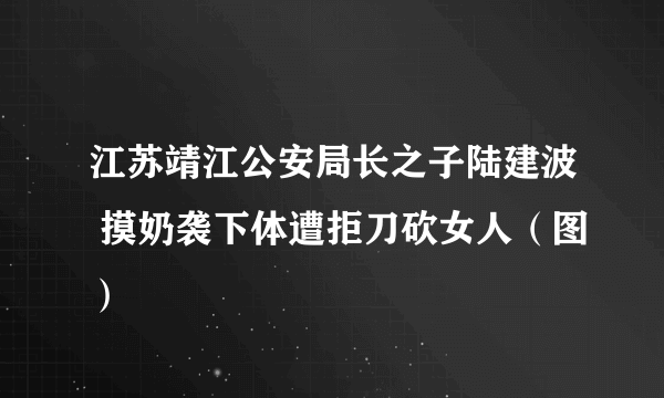 江苏靖江公安局长之子陆建波 摸奶袭下体遭拒刀砍女人（图）