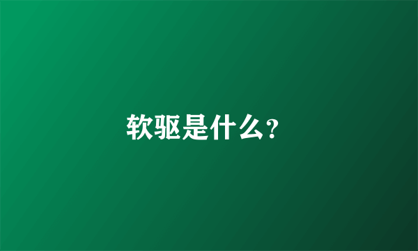 软驱是什么？