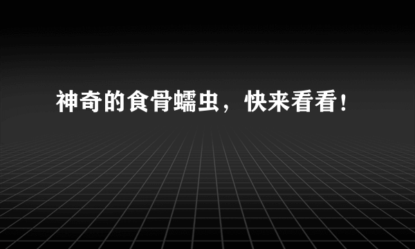 神奇的食骨蠕虫，快来看看！