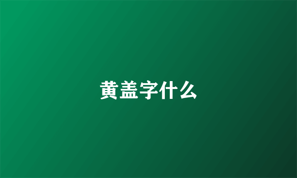 黄盖字什么