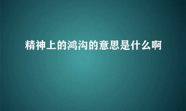 精神上的鸿沟的意思是什么啊