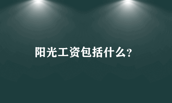 阳光工资包括什么？