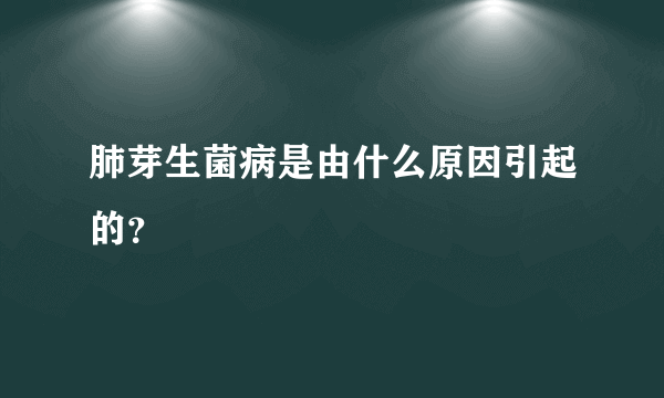 肺芽生菌病是由什么原因引起的？