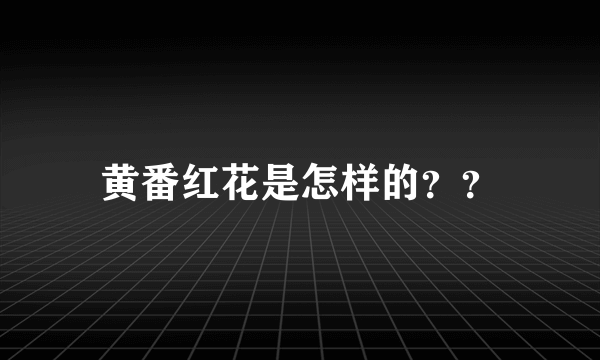 黄番红花是怎样的？？