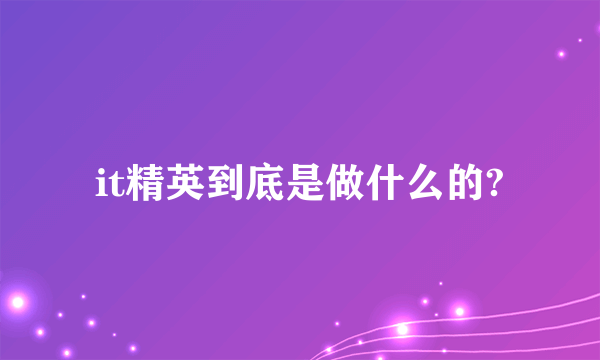 it精英到底是做什么的?