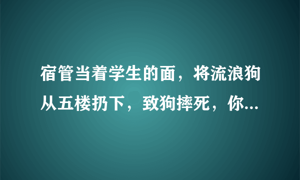 宿管当着学生的面，将流浪狗从五楼扔下，致狗摔死，你怎么看？