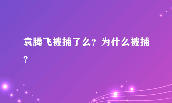 袁腾飞被捕了么？为什么被捕？