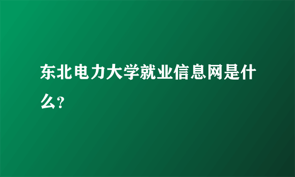 东北电力大学就业信息网是什么？