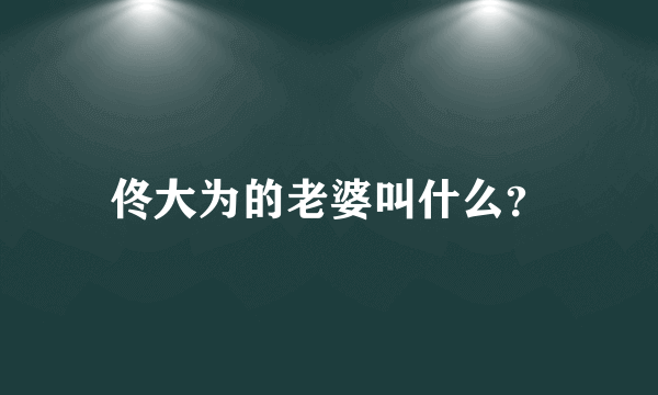 佟大为的老婆叫什么？