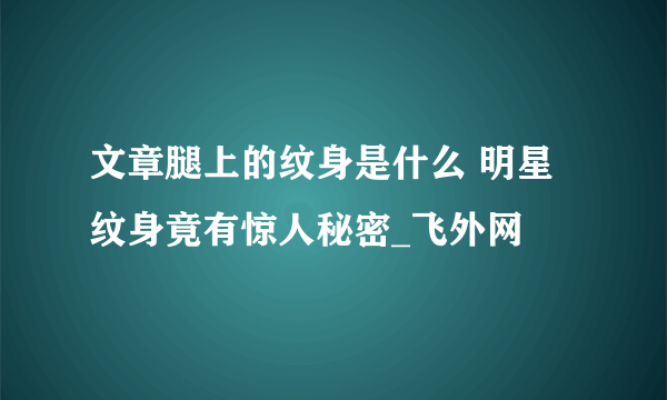 文章腿上的纹身是什么 明星纹身竟有惊人秘密_飞外网