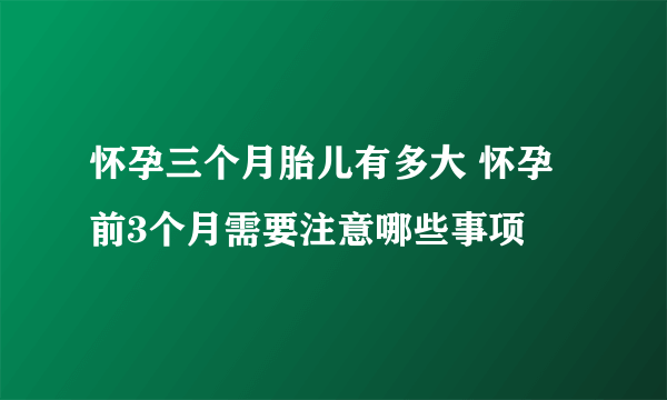 怀孕三个月胎儿有多大 怀孕前3个月需要注意哪些事项