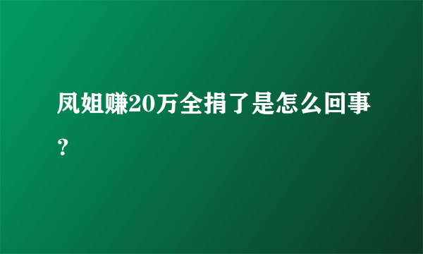 凤姐赚20万全捐了是怎么回事？