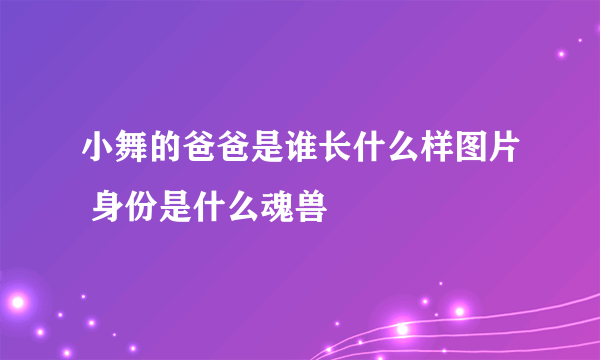 小舞的爸爸是谁长什么样图片 身份是什么魂兽