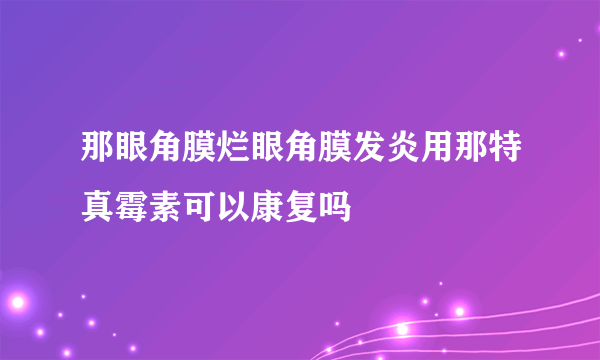 那眼角膜烂眼角膜发炎用那特真霉素可以康复吗