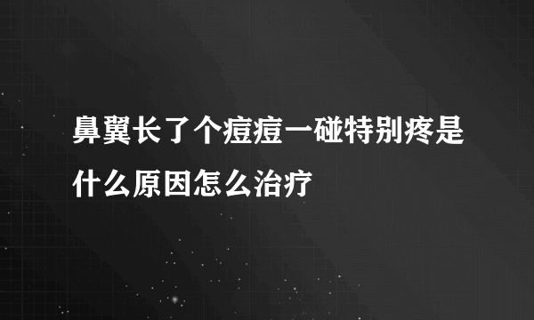 鼻翼长了个痘痘一碰特别疼是什么原因怎么治疗