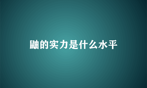 鼬的实力是什么水平