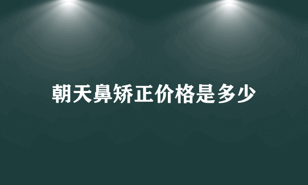 朝天鼻矫正价格是多少