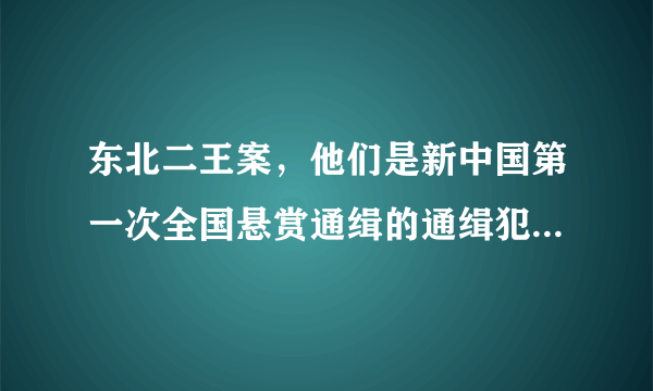 东北二王案，他们是新中国第一次全国悬赏通缉的通缉犯，会受到怎样的制裁？